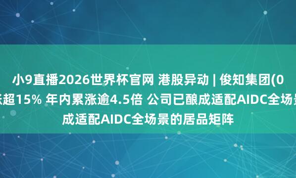 小9直播2026世界杯官网 港股异动 | 俊知集团(01300)午后涨超15% 年内累涨逾4.5倍 公司已酿成适配AIDC全场景的居品矩阵