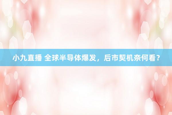 小九直播 全球半导体爆发，后市契机奈何看？