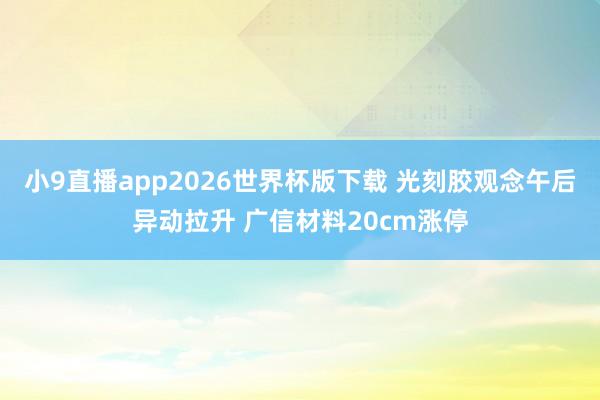 小9直播app2026世界杯版下载 光刻胶观念午后异动拉升 广信材料20cm涨停
