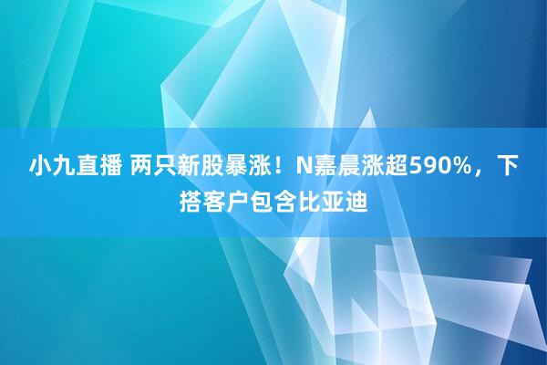 小九直播 两只新股暴涨！N嘉晨涨超590%，下搭客户包含比亚迪