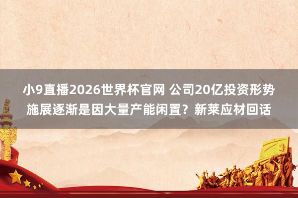 小9直播2026世界杯官网 公司20亿投资形势施展逐渐是因大量产能闲置？新莱应材回话
