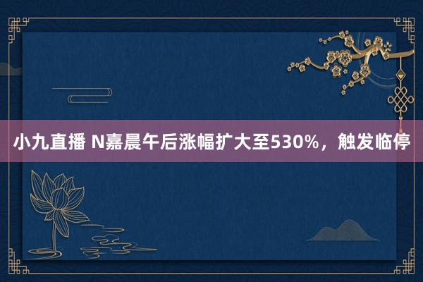 小九直播 N嘉晨午后涨幅扩大至530%，触发临停