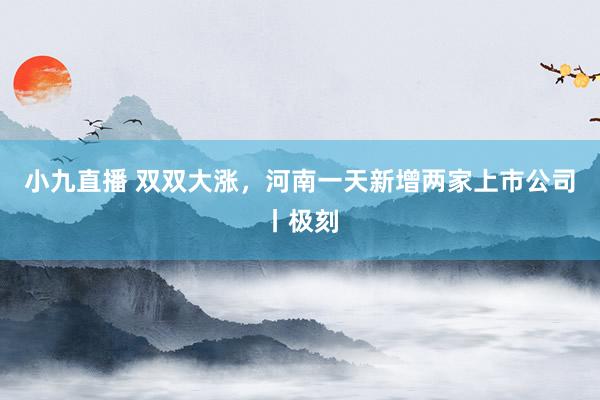 小九直播 双双大涨，河南一天新增两家上市公司丨极刻