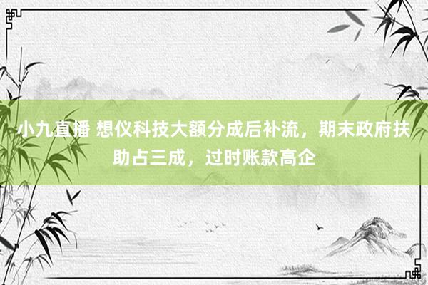 小九直播 想仪科技大额分成后补流，期末政府扶助占三成，过时账款高企