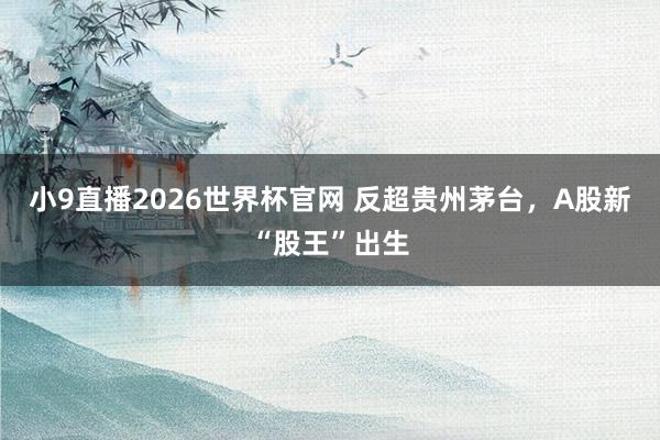 小9直播2026世界杯官网 反超贵州茅台，A股新“股王”出生