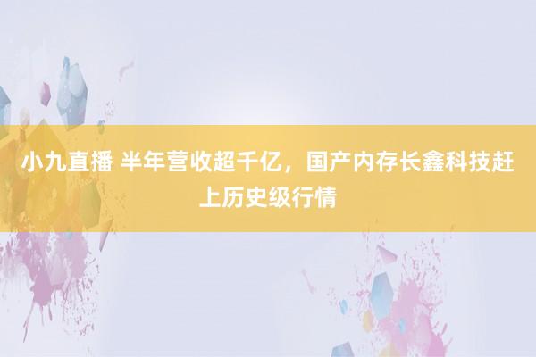 小九直播 半年营收超千亿，国产内存长鑫科技赶上历史级行情
