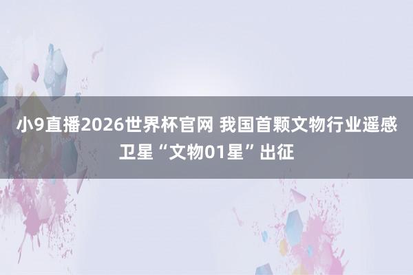 小9直播2026世界杯官网 我国首颗文物行业遥感卫星“文物01星”出征