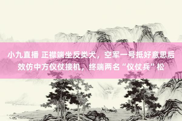 小九直播 正襟端坐反类犬，空军一号抵好意思后效仿中方仪仗接机，终端两名“仪仗兵”松
