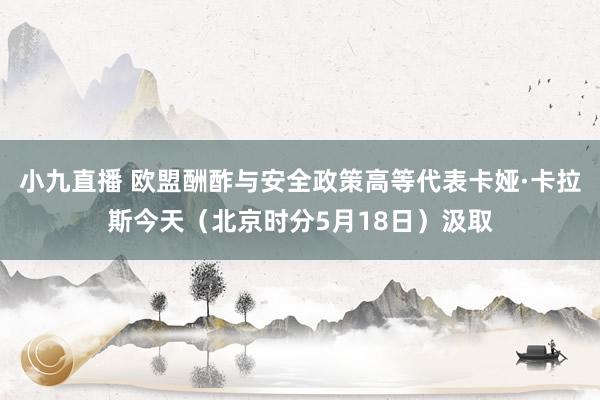 小九直播 欧盟酬酢与安全政策高等代表卡娅·卡拉斯今天（北京时分5月18日）汲取