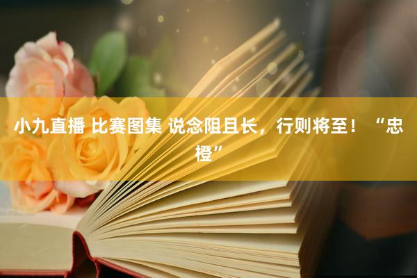 小九直播 比赛图集 说念阻且长，<a href=