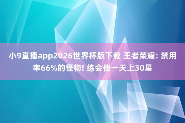 小9直播app2026世界杯版下载 王者荣耀: 禁用率66%的怪物! 练会他一天上30星