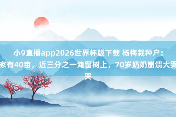 小9直播app2026世界杯版下载 杨梅栽种户：家有40亩，近三分之一淹留树上，70岁奶奶崩溃大哭