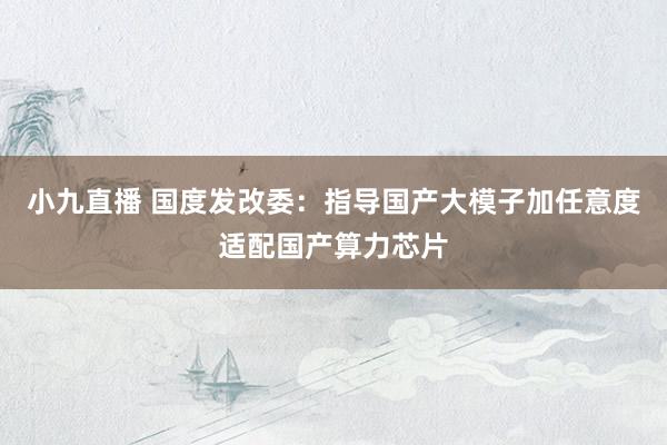 小九直播 国度发改委：指导国产大模子加任意度适配国产算力芯片