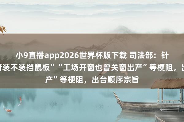 小9直播app2026世界杯版下载 司法部：针对“饭铺后厨装不装挡鼠板”“工场开窗也曾关窗出产”等梗阻，出台顺序宗旨
