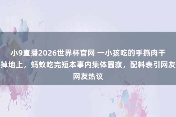小9直播2026世界杯官网 一小孩吃的手撕肉干碎渣掉地上，蚂蚁吃完短本事内集体圆寂，配料表引网友热议
