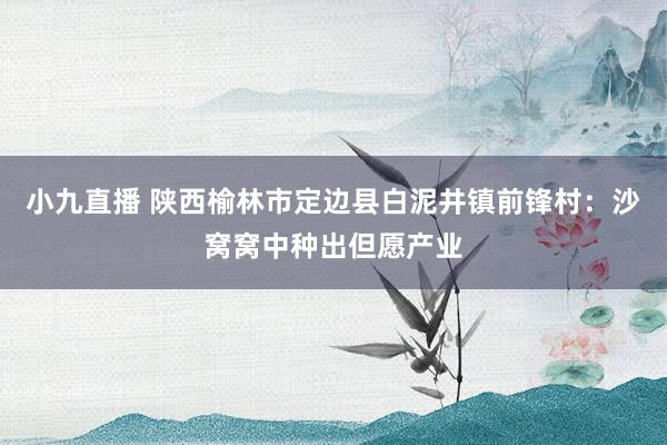 小九直播 陕西榆林市定边县白泥井镇前锋村：沙窝窝中种出但愿产业