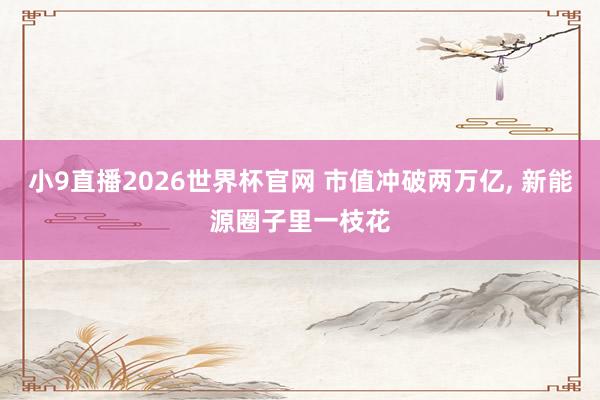 小9直播2026世界杯官网 市值冲破两万亿， 新能源圈子里一枝花