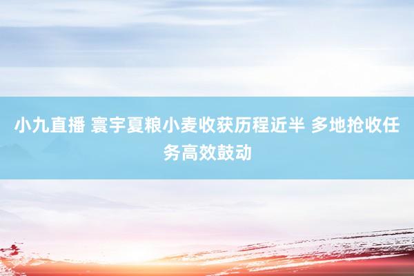 小九直播 寰宇夏粮小麦收获历程近半 多地抢收任务高效鼓动