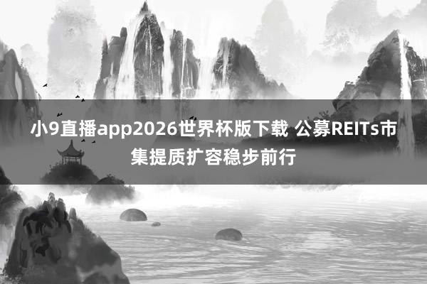 小9直播app2026世界杯版下载 公募REITs市集提质扩容稳步前行