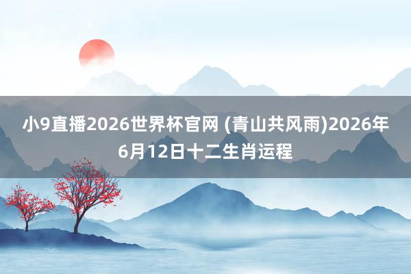 小9直播2026世界杯官网 (青山共风雨)2026年6月12日十二生肖运程