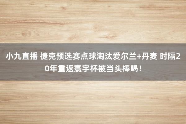小九直播 捷克预选赛点球淘汰爱尔兰+丹麦 时隔20年重返寰宇杯被当头棒喝！