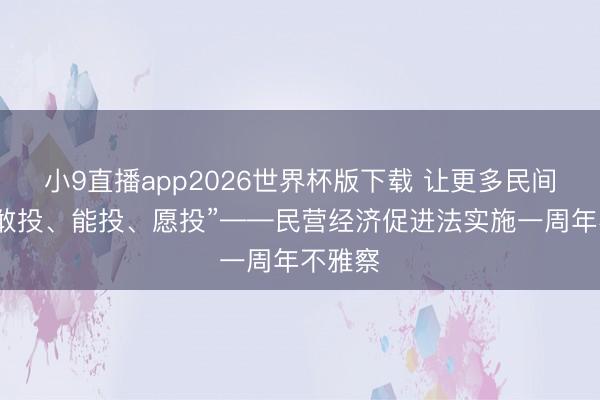 小9直播app2026世界杯版下载 让更多民间成本“敢投、能投、愿投”——民营经济促进法实施一周年不雅察
