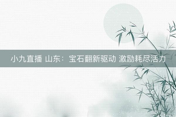 小九直播 山东：宝石翻新驱动 激励耗尽活力