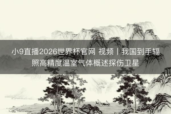 小9直播2026世界杯官网 视频丨我国到手辐照高精度温室气体概述探伤卫星