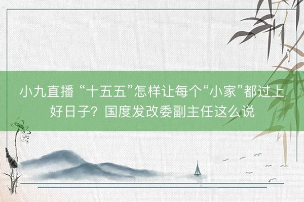小九直播 “十五五”怎样让每个“小家”都过上好日子?国度发改委副主任这么说