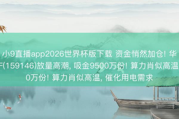 小9直播app2026世界杯版下载 资金悄然加仓! 华宝基金电力ETF(159146)放量高潮， 吸金9500万份! 算力肖似高温， 催化用电需求