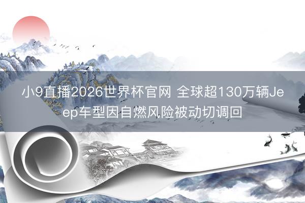 小9直播2026世界杯官网 全球超130万辆Jeep车型因自燃风险被动切调回