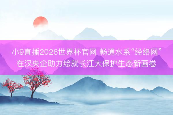 小9直播2026世界杯官网 畅通水系“经络网”在汉央企助力绘就长江大保护生态新画卷