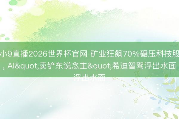 小9直播2026世界杯官网 矿业狂飙70%碾压科技股, AI"卖铲东说念主"希迪智驾浮出水面