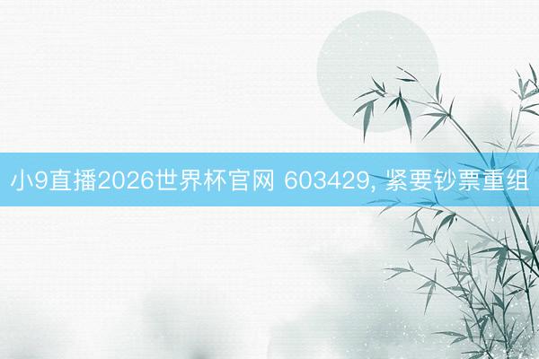 小9直播2026世界杯官网 603429, 紧要钞票重组